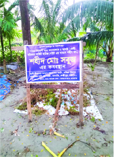 Image of মোহাম্মদ সবুজ